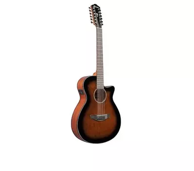 Ibanez AEG5012-DVH 12-струнная гитара AEG5012-DVH 12 String Guitar