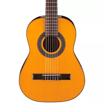 Ibanez GA1