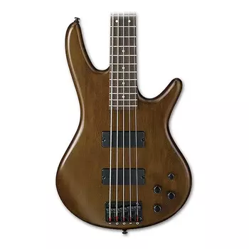 Ibanez GSR205 5-струнная бас-гитара с плоской отделкой из орехового дерева GSR205BWNF