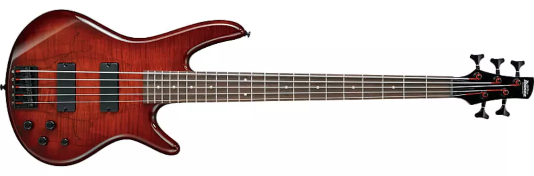 Ibanez GSR205SMCNB Gio GSR 5-струнная электрическая бас-гитара, Spalted Maple Charcoal Brown Burst RW