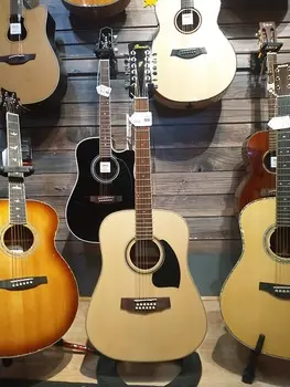 Ibanez PF1512NT Performance Spruce / Okoume 12-струнный дредноут PF1512NT Performance Spruce / Okoume 12-String Dreadnought