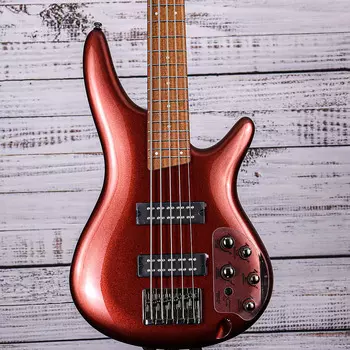 Ibanez SR 5-струнная бас-гитара | SR305E