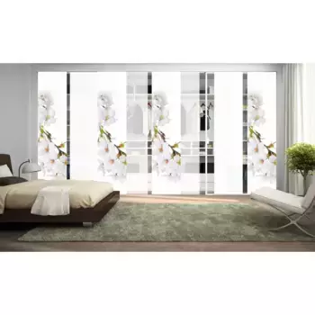 ИДЕИ ДЛЯ ДОМАШНЕЙ ЖИЗНИ Раздвижные шторы «КИРАНГИ НАБОР ИЗ 8 шт.», (8 шт.), ВxШ: 245x60 Home Wohnideen, белый