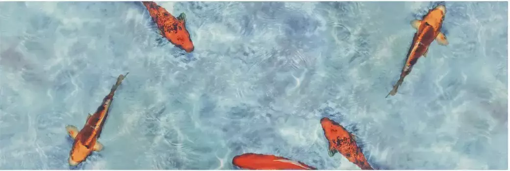 Идеи Primaflor в текстильной виниловой дорожке "KOI кухонная дорожка", прямоугольная, кухонная дорожка из винила, протираемая, мотив рыбы кои, кухня Primaflor-Ideen in Textil 50х250 см, синий