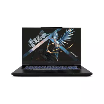 Игровой ноутбук Colorful Star X17 PRO MAX, 17.3", 16 ГБ/2 ТБ, i9-14900HX, RTX 4090, черный, английская раскладка