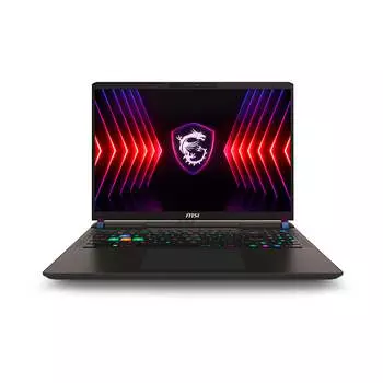 Игровой ноутбук MSI Vector 16 HX, 16'', 16 ГБ/1 ТБ, i9-14900HX, RTX 4060, серый, английская клавиатура