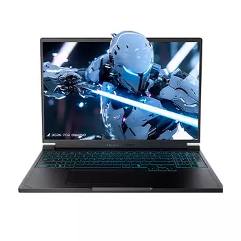 Игровой ноутбук ThundeRobot Hunting Blade S 2025, 16'', 16 ГБ/1 ТБ, i9-13900HX, RTX5060, черный, англ.клавиатура