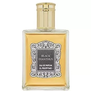 Il Profvmo парфюмерная вода для мужчин 100мл