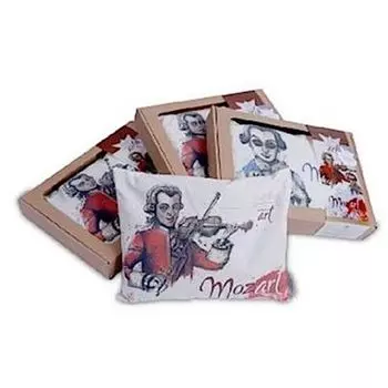 Insieme ароматическая подушка лаванда 26x21 см Insieme Textil