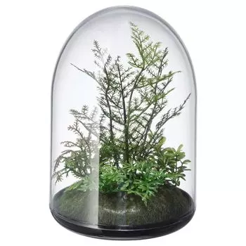 INVÄNDIG ИНВЭНДИГ Декоративный флорариум, 15 см IKEA