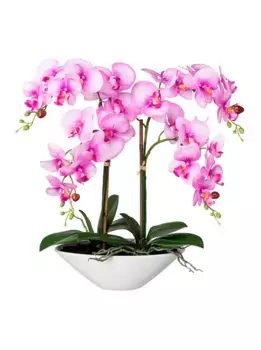 Искусственная орхидея Гаспер Gasper 35х53 см, розовый