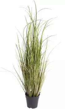 Искусственная трава Botanic-Haus "Травяная композиция Аруша" /35х75 см, зеленый/светло-коричневый