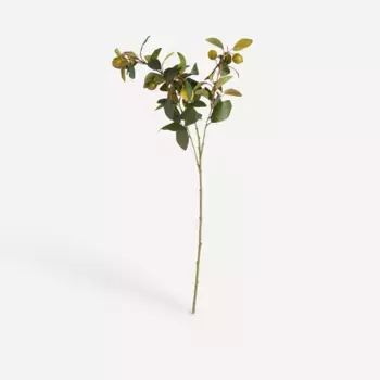 Искусственная ветка лимона El Corte Ingls, зеленый