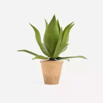 Искусственное растение агава El Corte Ingls, зеленый
