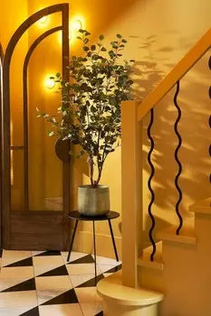 Искусственное растение эвкалипта Mica Decorations, зеленый