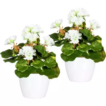 Искусственное растение для дома «Хавел» в горшке, набор из 2 шт Home Affaire, белый