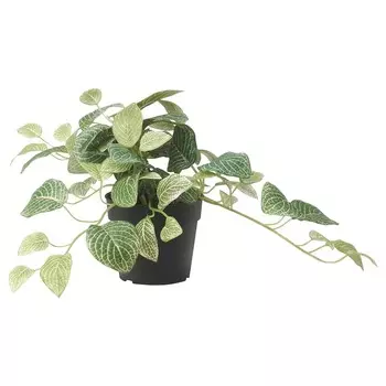 Искусственное растение Ikea Fejka Indoor Outdoor Lace Leaf Hanging, 9 см