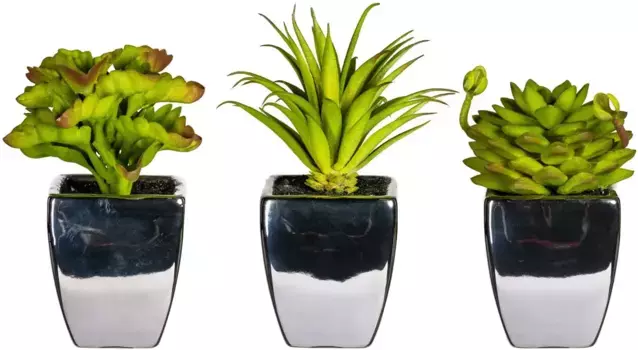 Искусственное растение Leonique "Лорин", в горшке, набор из 3 шт 7х13х7 см, зеленый