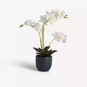 Искусственное растение Орхидея в горшке El Corte Ingls, крем