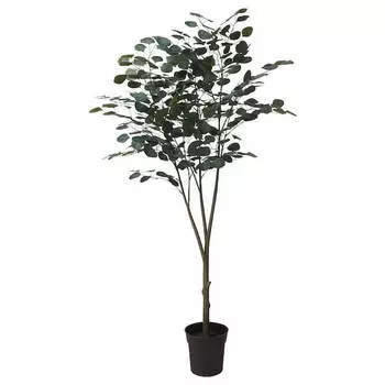 Искусственное растение в горшке Ikea Fejka In/outdoor Eucalyptus, 19 см