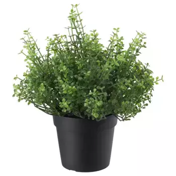 Искусственное растение, зеленое, 9 см, для дома и улицы FEJKA IKEA