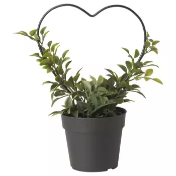 Искусственное растение, зеленое, 9 см, VINTERFINT IKEA