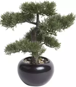Искусственный бонсай Botanic-Haus "Ceder Bonsai" /32х34 см, зеленый