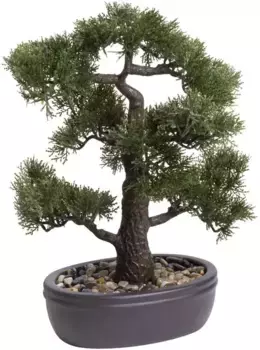 Искусственный бонсай Botanic-Haus "Ceder Bonsai" /35х45 см, зеленый
