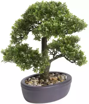 Искусственный бонсай Botanic-Haus "Ficus Bonsai" /32х32 см, зеленый