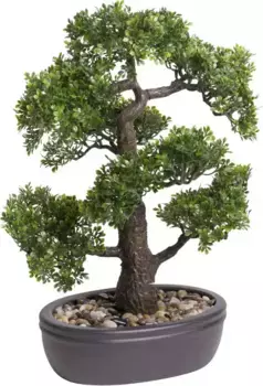 Искусственный бонсай Botanic-Haus "Ficus Bonsai" /35х45 см, зеленый