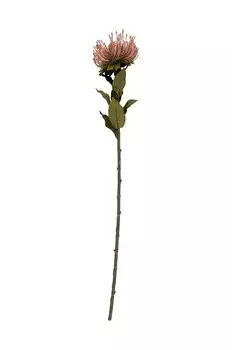 Искусственный цветок настоящего времени Protea Flower L Present Time, мультиколор