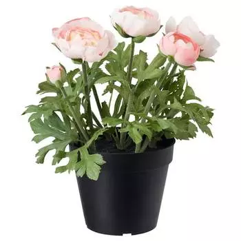 Искусственный цветок в горшке IKEA FEJKA Artificial Plant Ranunculus Pink, зеленый - розовый