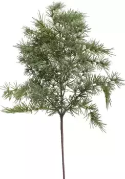 Искусственный филиал Botanic-Haus "Кедровая ветка" 50х80 см, зеленый