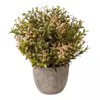 Искусственный самшит в цементном горшке El Corte Ingls, зеленый