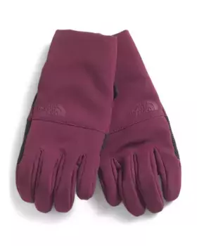 Изолированные перчатки Apex Etip The North Face, цвет Boysenberry