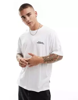 Jack & Jones – белая футболка оверсайз с мотивом национальных парков на спине