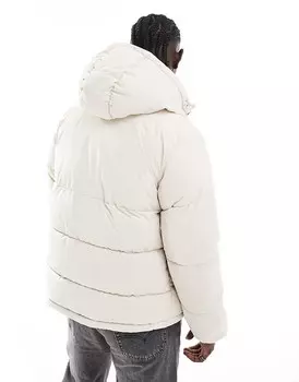 Jack & Jones – Утепленная куртка с капюшоном кремового цвета