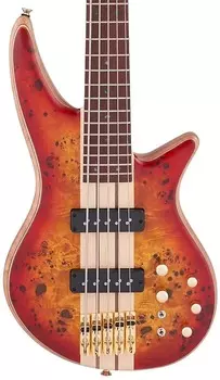 Jackson Pro Series Spectra Bass SB V Poplar Burl - Transparent Cherry Burst 2919934515
