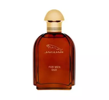 Jaguar For Men Oud парфюмированная вода для мужчин, 100 мл