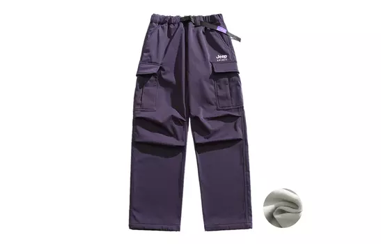 JEEP SPIRIT Повседневные брюки унисекс, Ночной фиолетовый (бархатный)