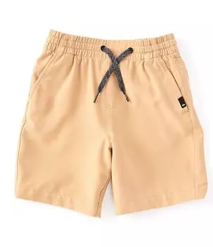 Эластичные шорты-амфибия Quiksilver Little Boys 2T-7 Ocean, бежевый
