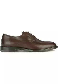 Элегантные туфли на шнуровке Artenova Geox, цвет dark brown