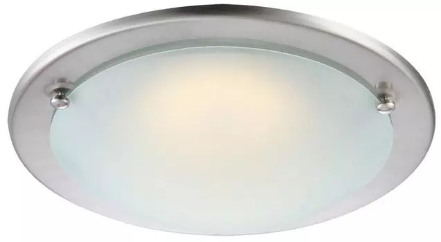 Элегантный круглый потолочный светильник со светодиодом мощностью 12 Вт. etc-shop, серебро