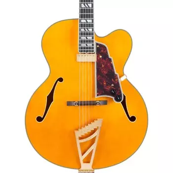 Электрогитара D'Angelico Excel EXL-1 с полым корпусом, янтарный цвет