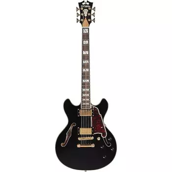 Электрогитара D'Angelico Excel Mini Double Cut Semi-Hollow, Dual USA Seymour Duncan '59 humbuckers, coil split