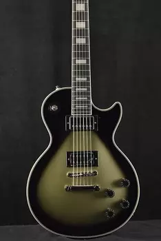 Электрогитара Epiphone Adam Jones Les Paul Custom Julie Heffernan’s Self-Portrait As Not Dead Yet Silverburst