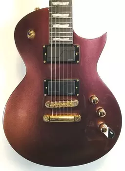 Электрогитара ESP LTD EC-1000 Electric Guitar, Set Neck, Ebony FB, Gold Andromeda 2023