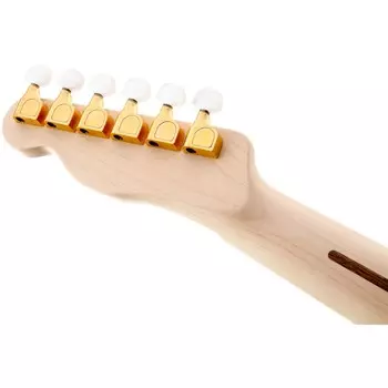 Электрогитара Fender Artist Series James Burton Telecaster Blue Paisley Flames