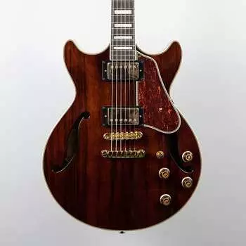 Электрогитара Ibanez AM93ME Artcore Expressionist Macassar Ebony