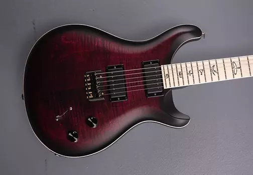 Электрогитара Paul Reed Smith Dustie Waring CE-24 Hardtail Limited Edition - Waring Burst